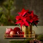 monadikes-diy-idees-gia-dwra-mommyjammi7